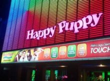 Lowongan Kerja Happy Puppy Karaoke Pekanbaru