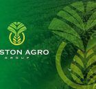 Lowongan Kerja PT Kriston Agro Pekanbaru Februari 2023