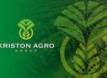 Lowongan PT Kriston Agro Pekanbaru April 2021