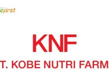 Lowongan PT. Kobe Nutri Farma Pekanbaru Agustus 2021
