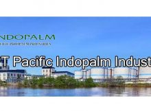 Lowongan PT. Pacific Indopalm Industries Dumai Agustus 2021