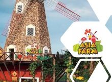 Lowongan Tebaru PT. Asia Wisata Mandiri (Asia Farm) Mei 2022 – Pekanbaru
