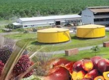Lowongan Kerja Riau PT Agro Asri Nabati Agustus 2022