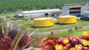 Lowongan Kerja Riau PT Agro Asri Nabati Agustus 2022
