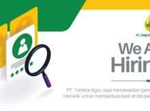 Lowongan Kerja Terbaru PT Trimitra Agro Jaya Pekanbaru tahun 2022